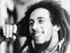 Clique para ampliar 5° Tributo a Bob Marley do Movimento Reggae Mineiro - Edição especial 30 anos