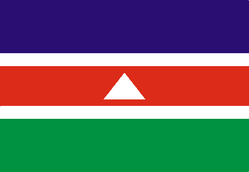 Bandeira de Juiz de Fora